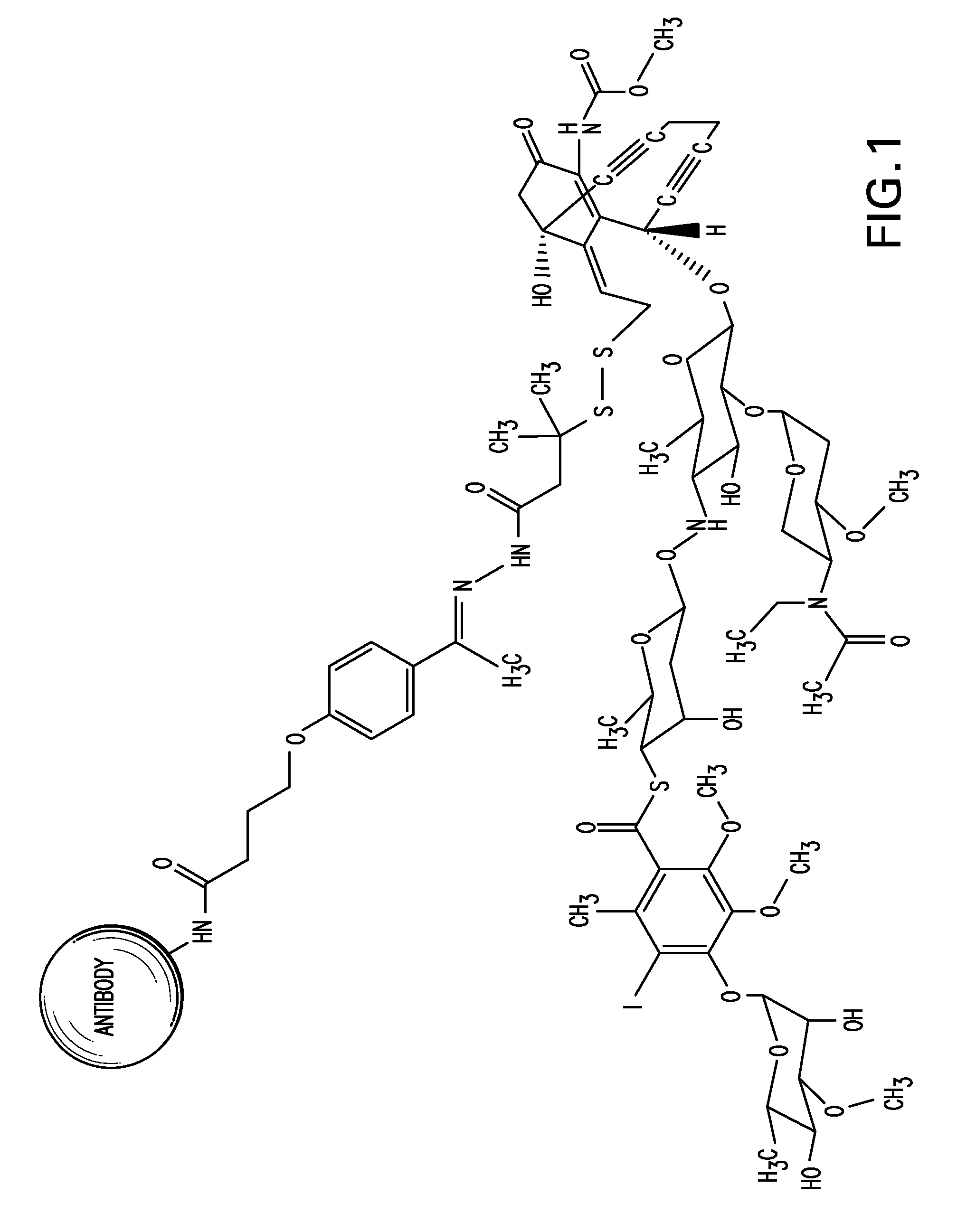 Detection and quantitation of calicheamicin