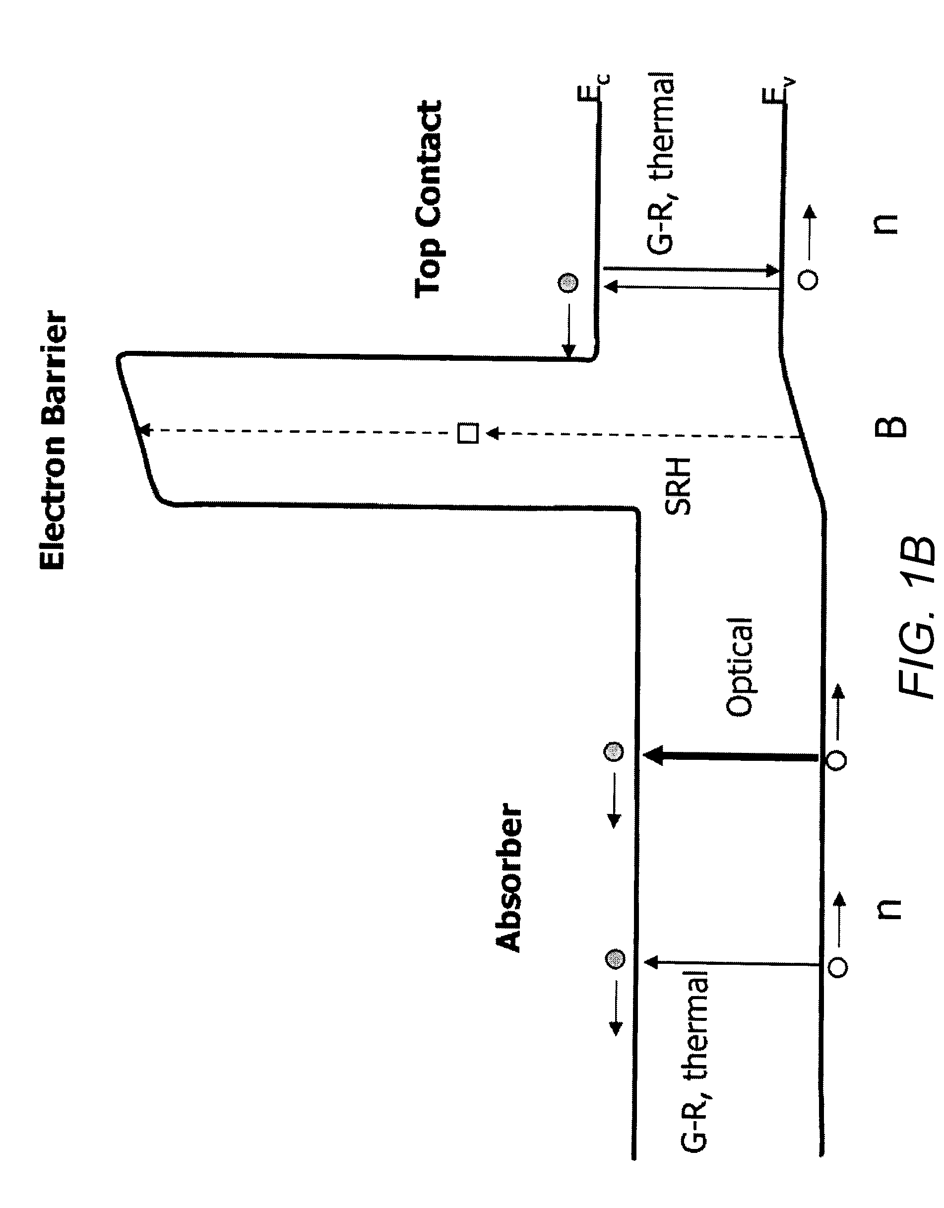 High operating temperature barrier infrared detector with tailorable cutoff wavelength