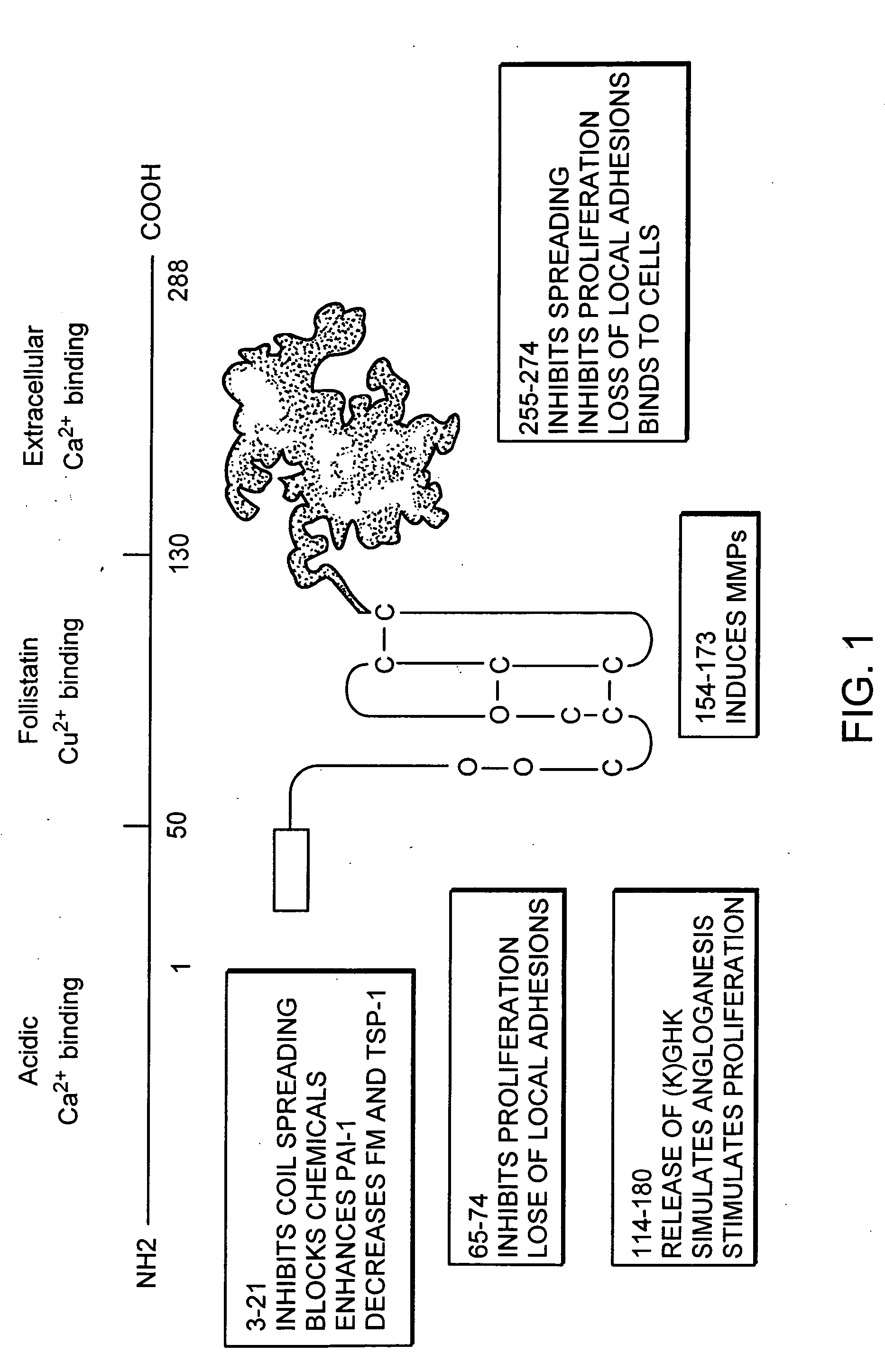 Cancer therapy sensitizer