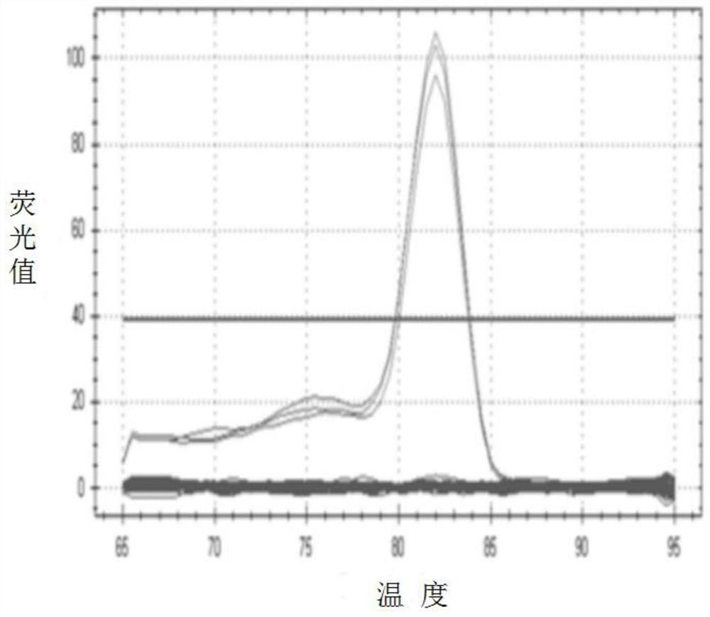 A method for increasing sugar content in strawberry fruit