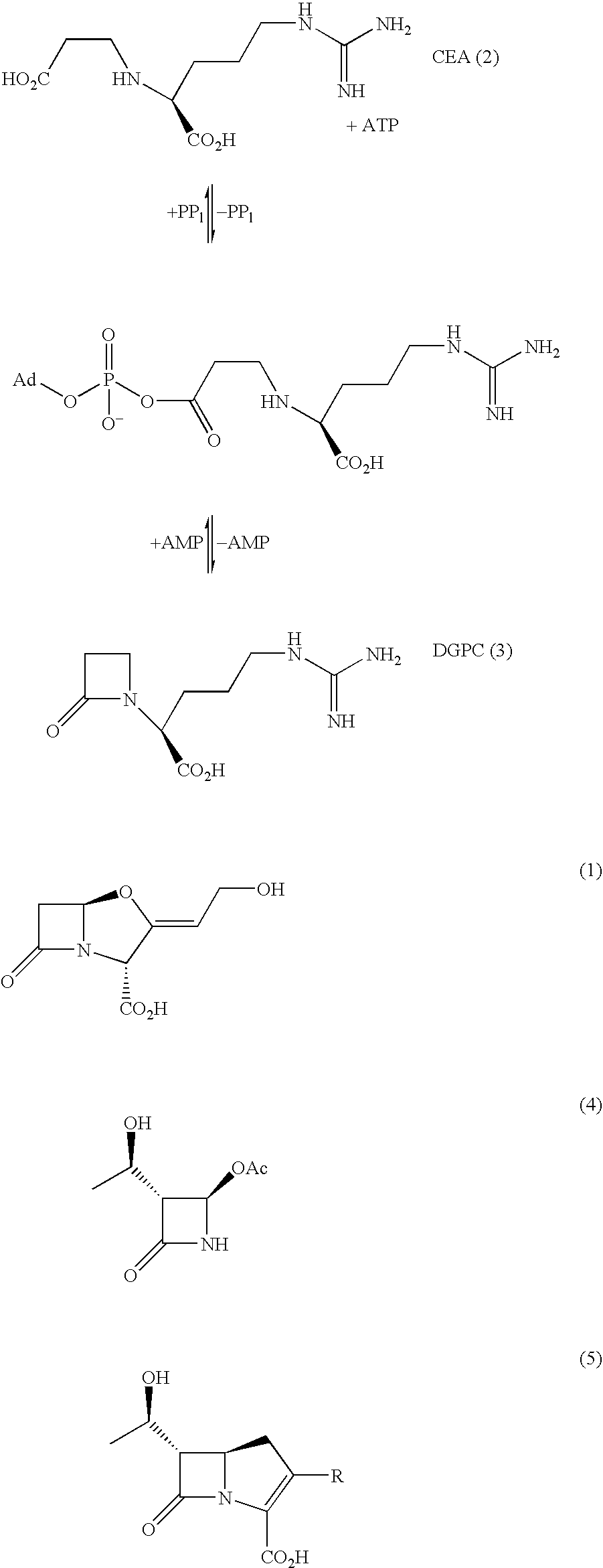 Cyclisation process for the preparation of c-2 beta-lactam compounds