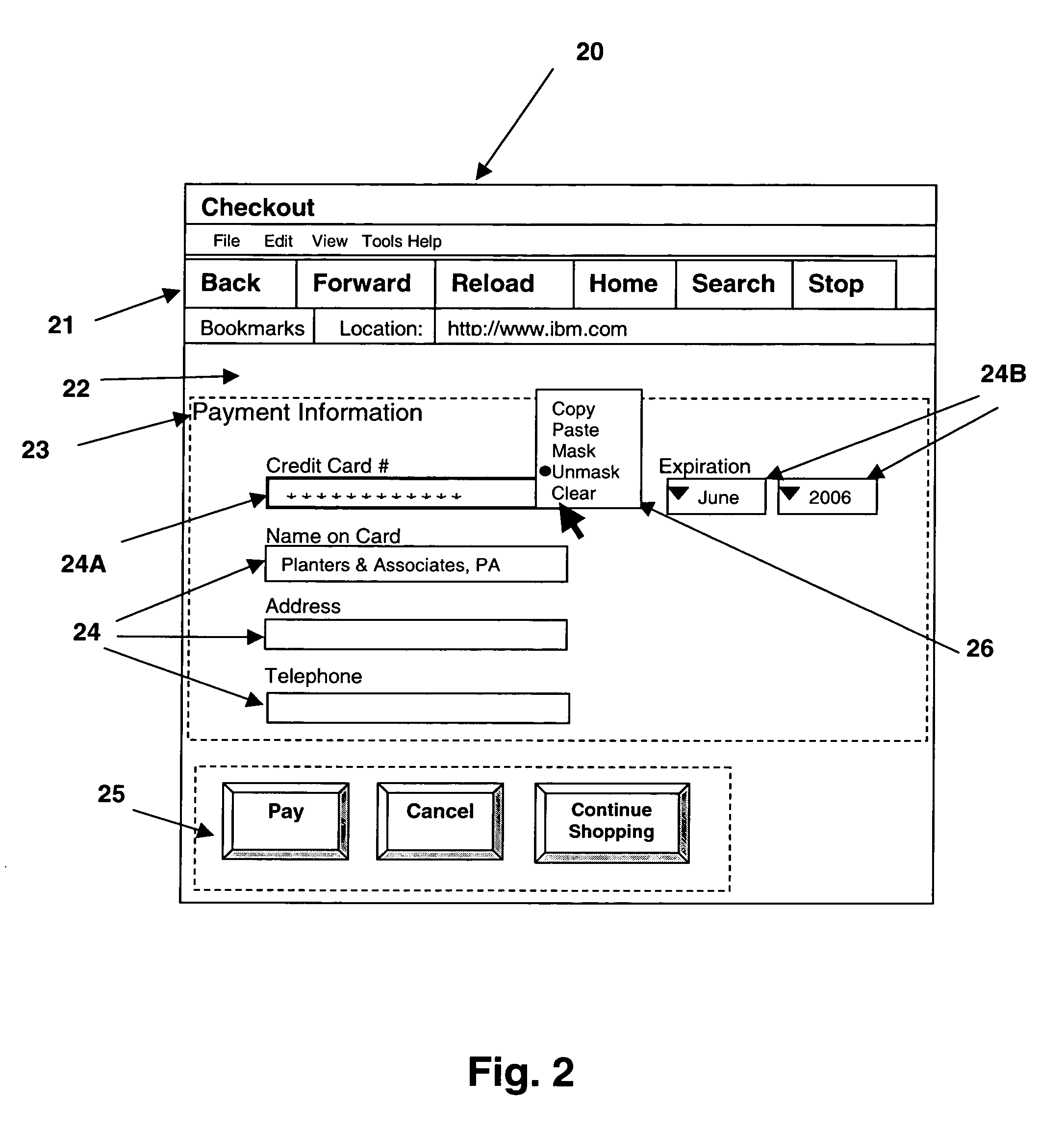 Method and system for selectively masking the display of data field values