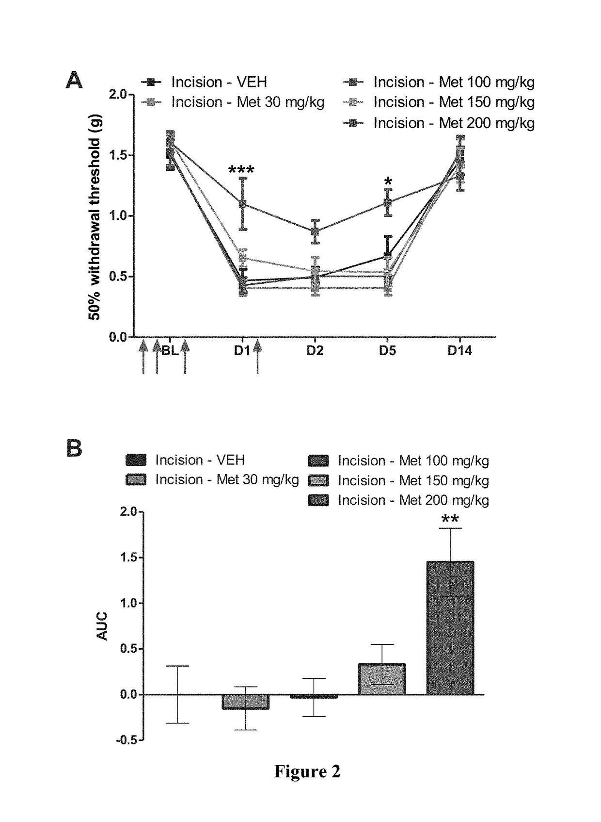 Methods and compositions using ampk activators for pharmacological prevention of chronic pain