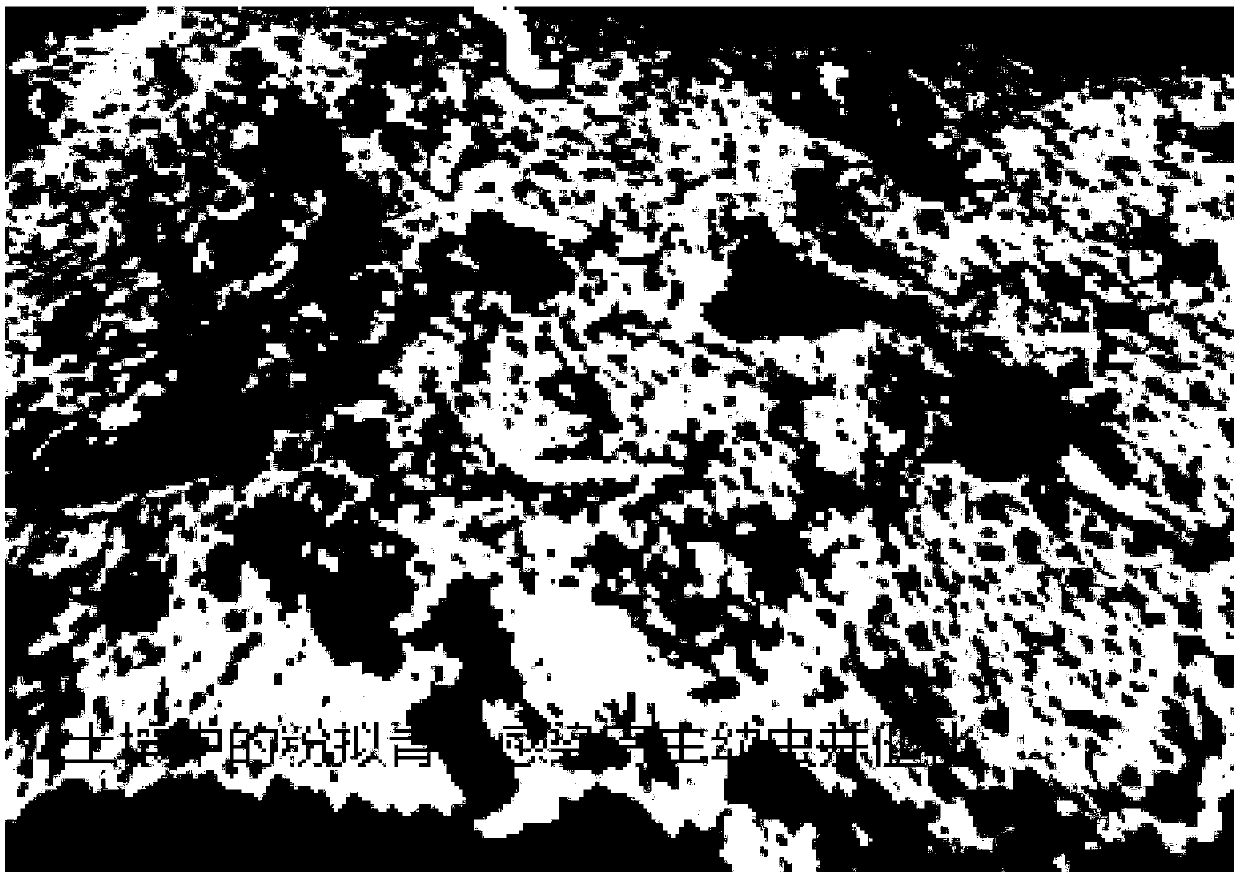 Method for artificially raising larvae of hepialus armoricanus oberthur