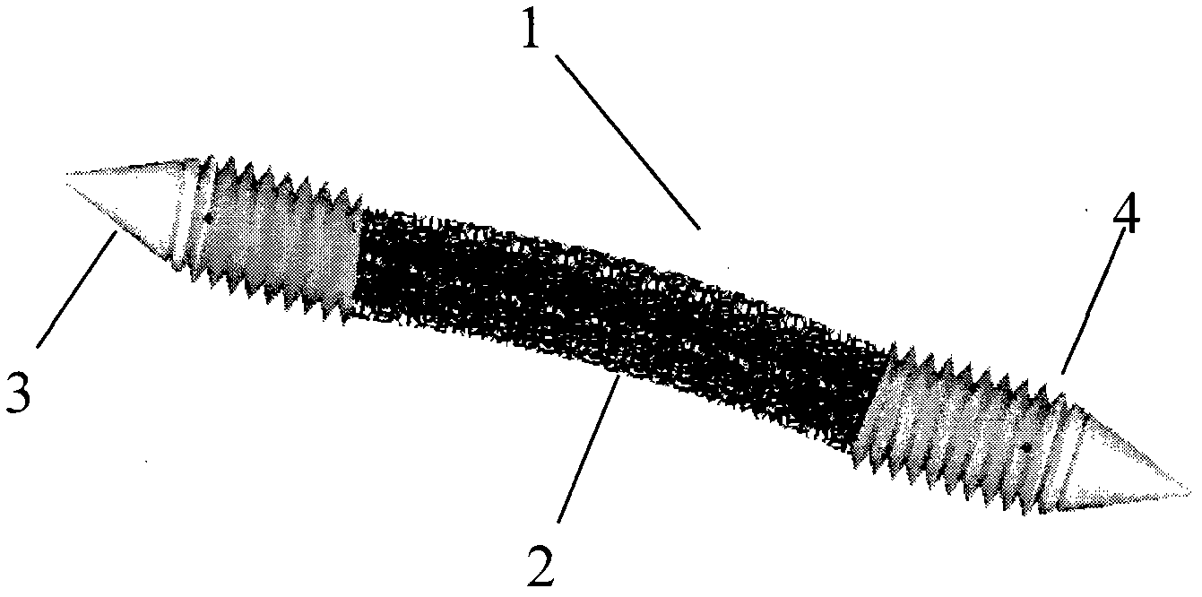 Sacralization bone screw