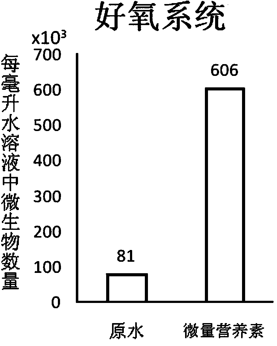 Micro nutrient additive for microbial water treatment