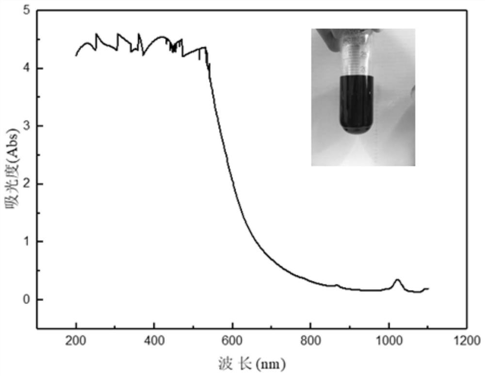 A kind of solid ion carrier and its preparation method and application