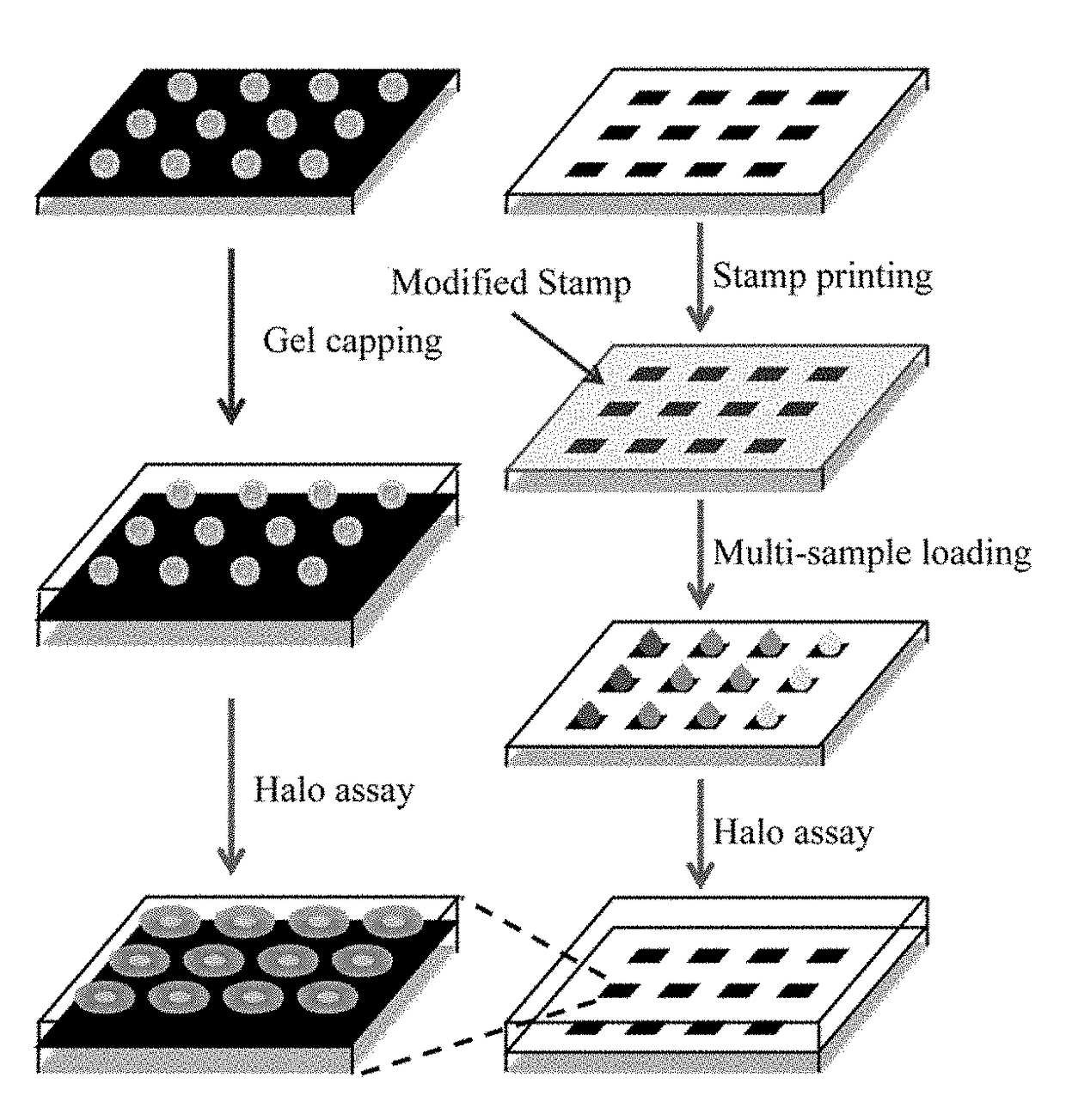 Disposable Single Cell Array for Personalized Diagnostics