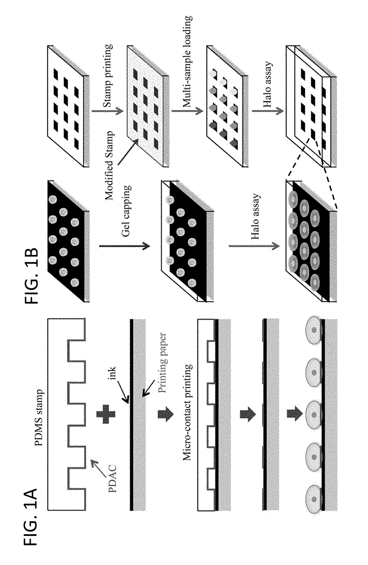 Disposable Single Cell Array for Personalized Diagnostics