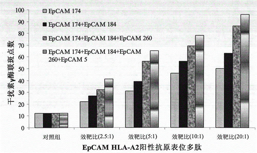 Preparation method and kit of dendritic cell vaccine loaded with tumor-specific antigen epitope polypeptide