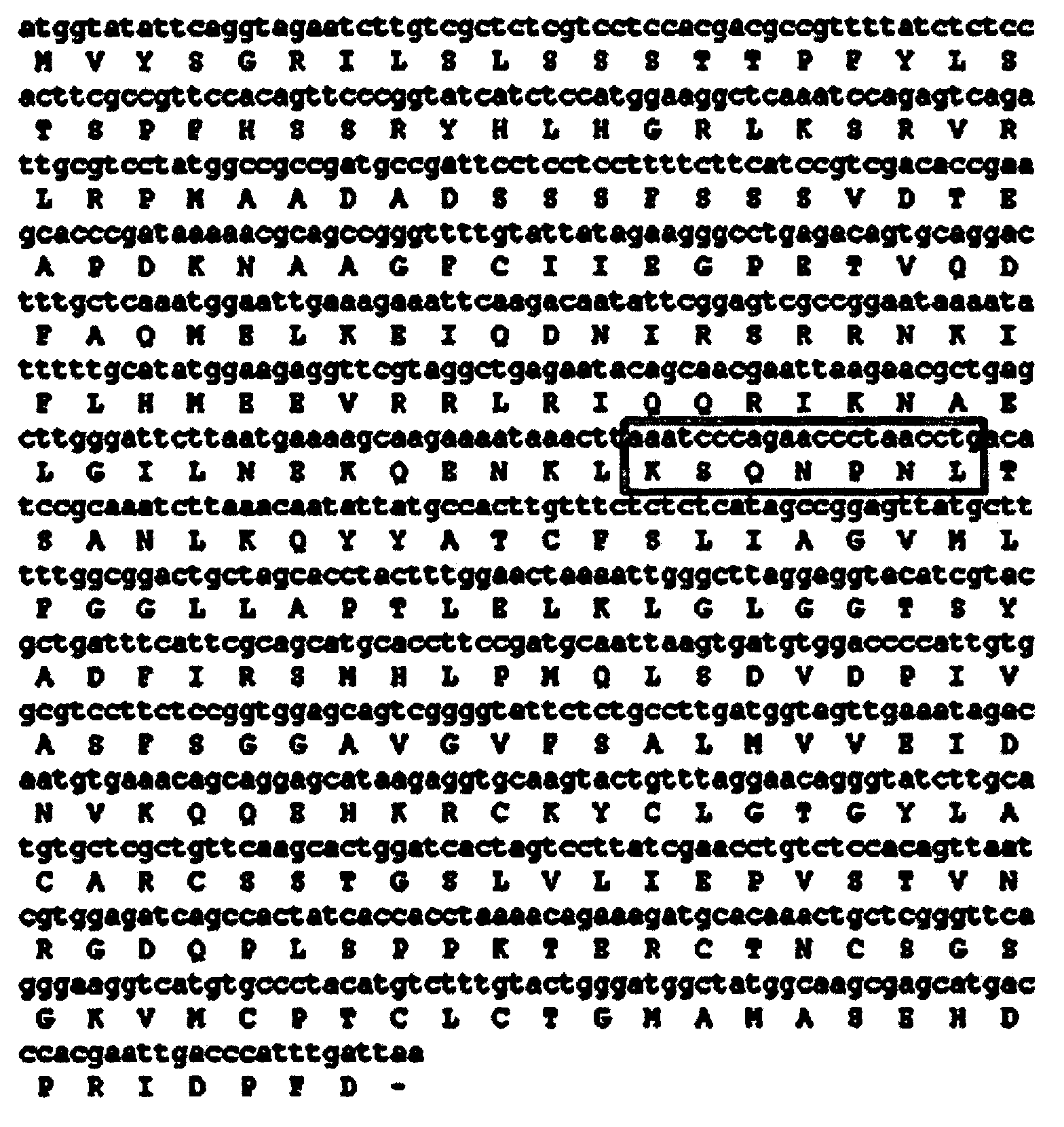 Ibor-Ins gene mutant from ipomoea batatas and uses thereof