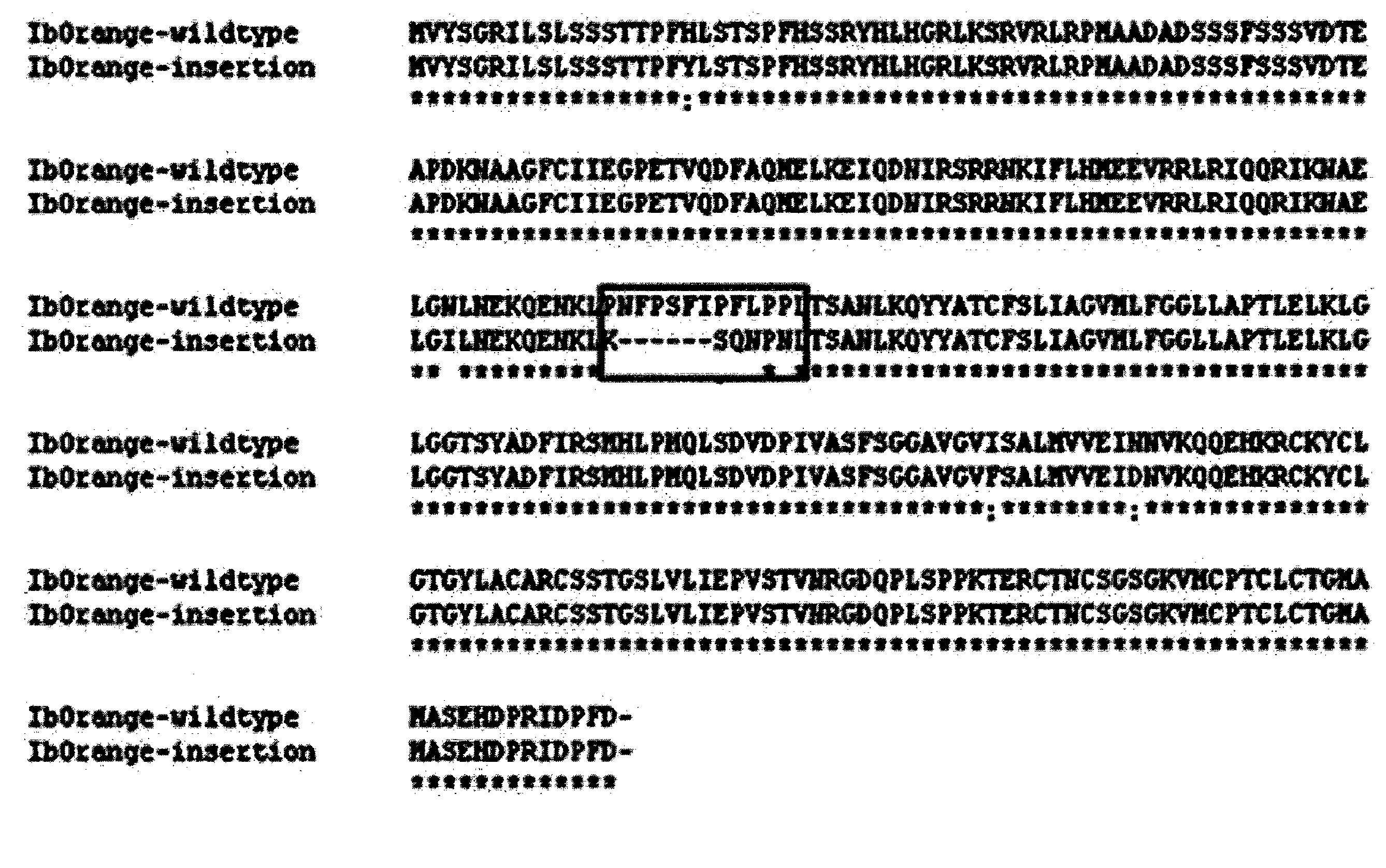 Ibor-Ins gene mutant from ipomoea batatas and uses thereof