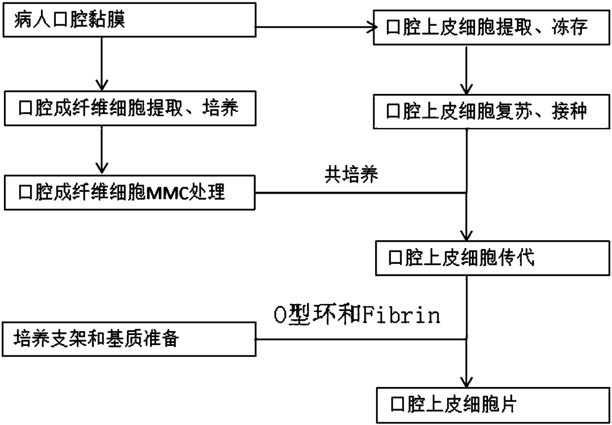 Preparation method and applications of epithelial cell sheet for treating corneal diseases