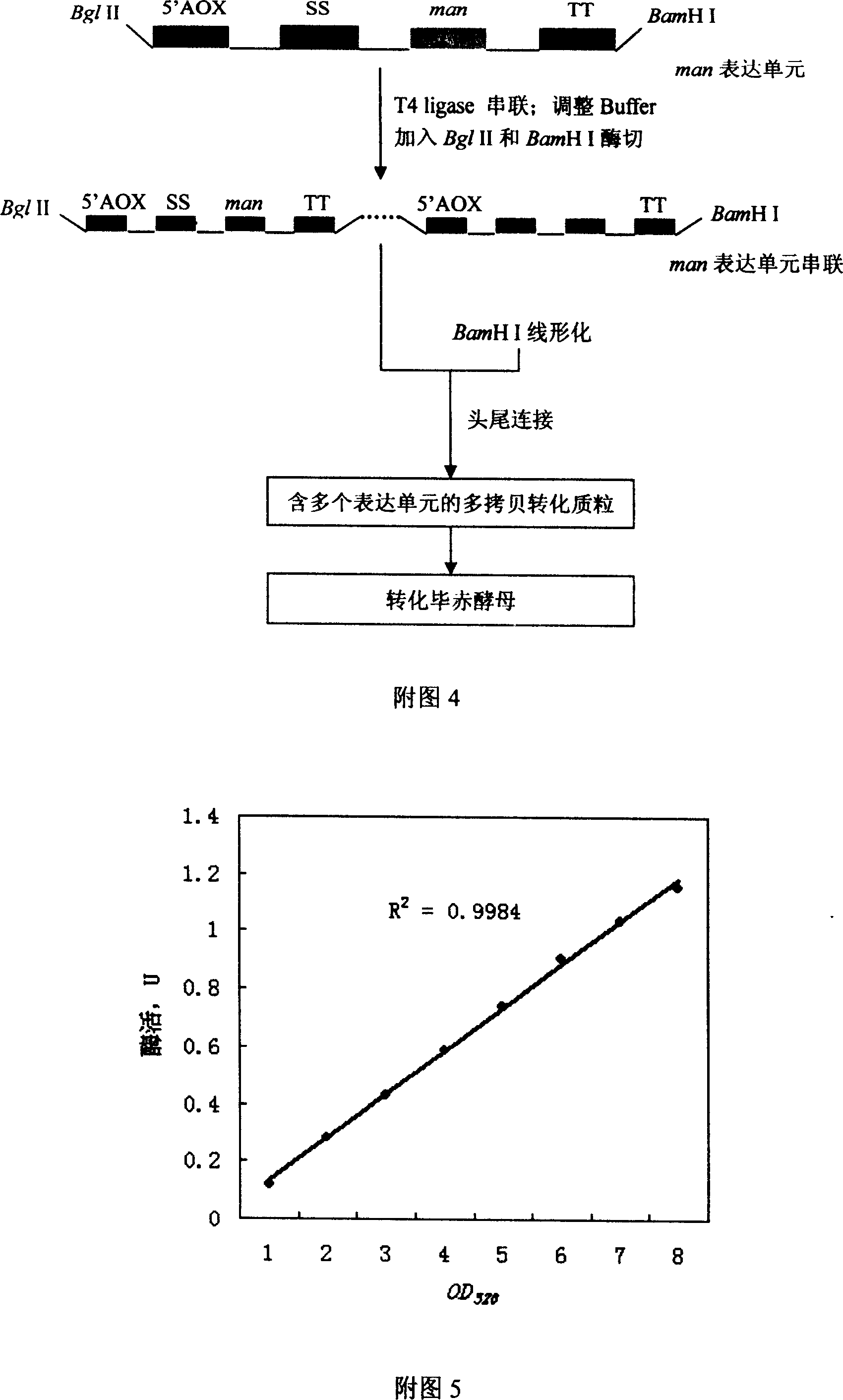 Multi-copy gene carrier of high efficient expression mannanase