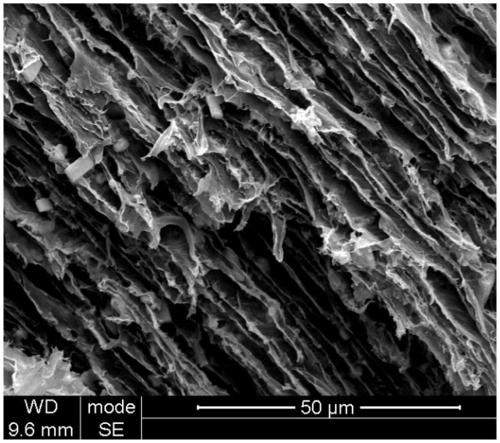 Preparation method of conductive double-layer hydrogel for integral regeneration of bone and cartilage by electrical stimulation