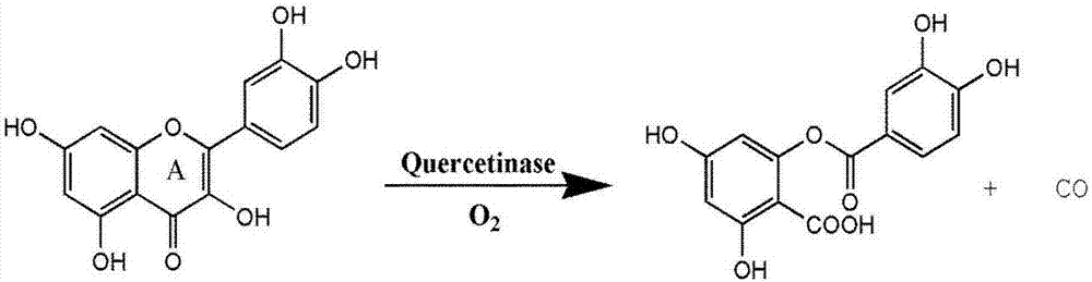 Light induced carbon monoxide release molecule and preparation method thereof