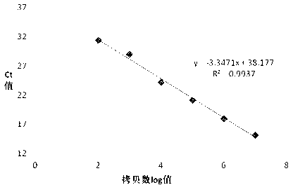 SCAR marker of biocontrol Hypocrea virens, its application and quantitative detection method