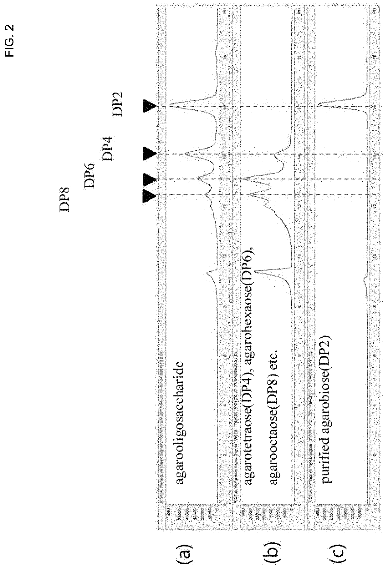 Use of agar-derived oligosaccharides for inhibiting growth of staphylococcus