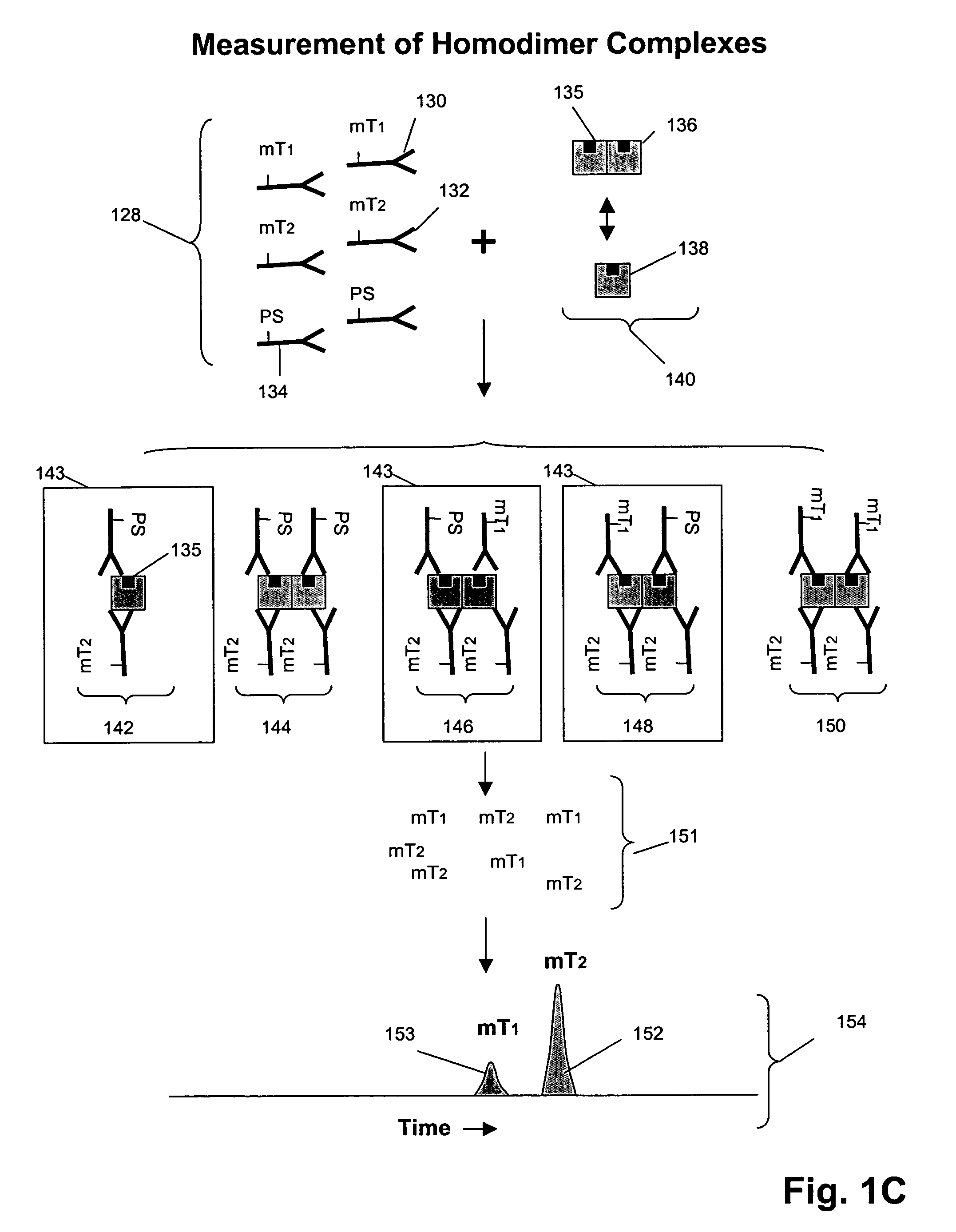 Receptor tyrosine kinase signaling pathway analysis for diagnosis and therapy