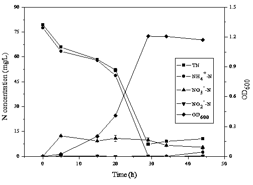 A strain of Acinetobacter baumannii and its application