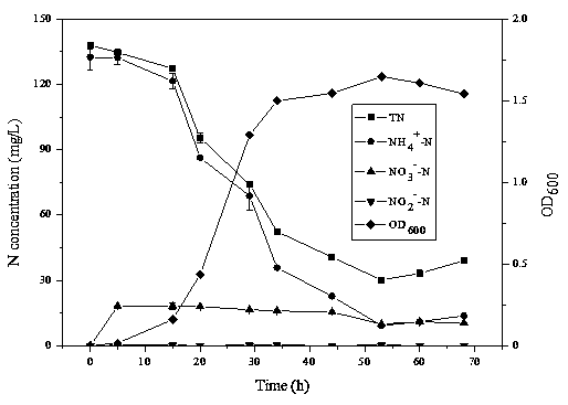 A strain of Acinetobacter baumannii and its application