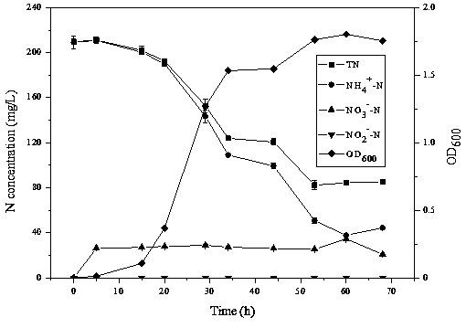 A strain of Acinetobacter baumannii and its application