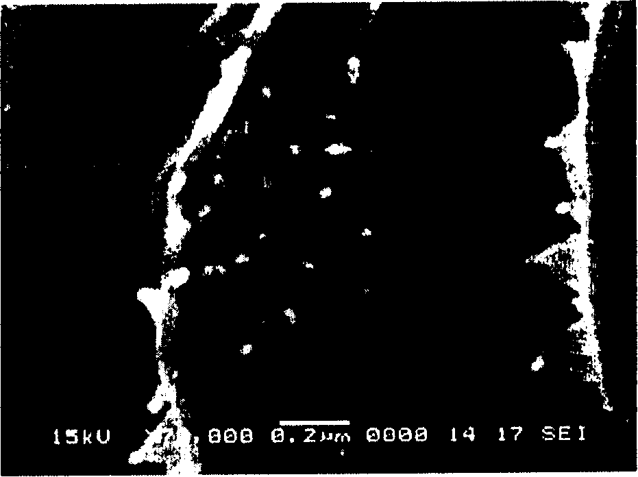 Nanometer antimony-doped stannic oxide antistatic coating and method for making same