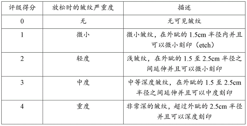 Methods and assessment scales for measuring wrinkle severity