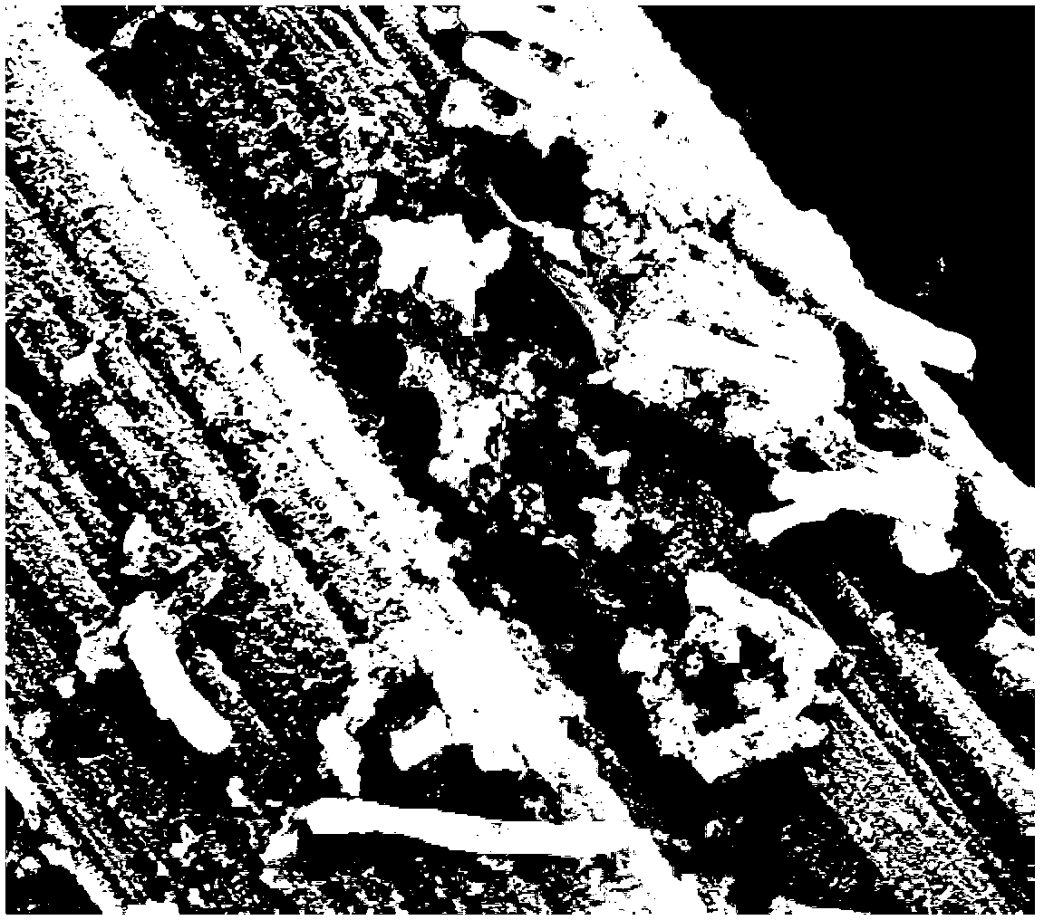 Bacillus subtilis bacterial strains and application thereof in microbial power generation