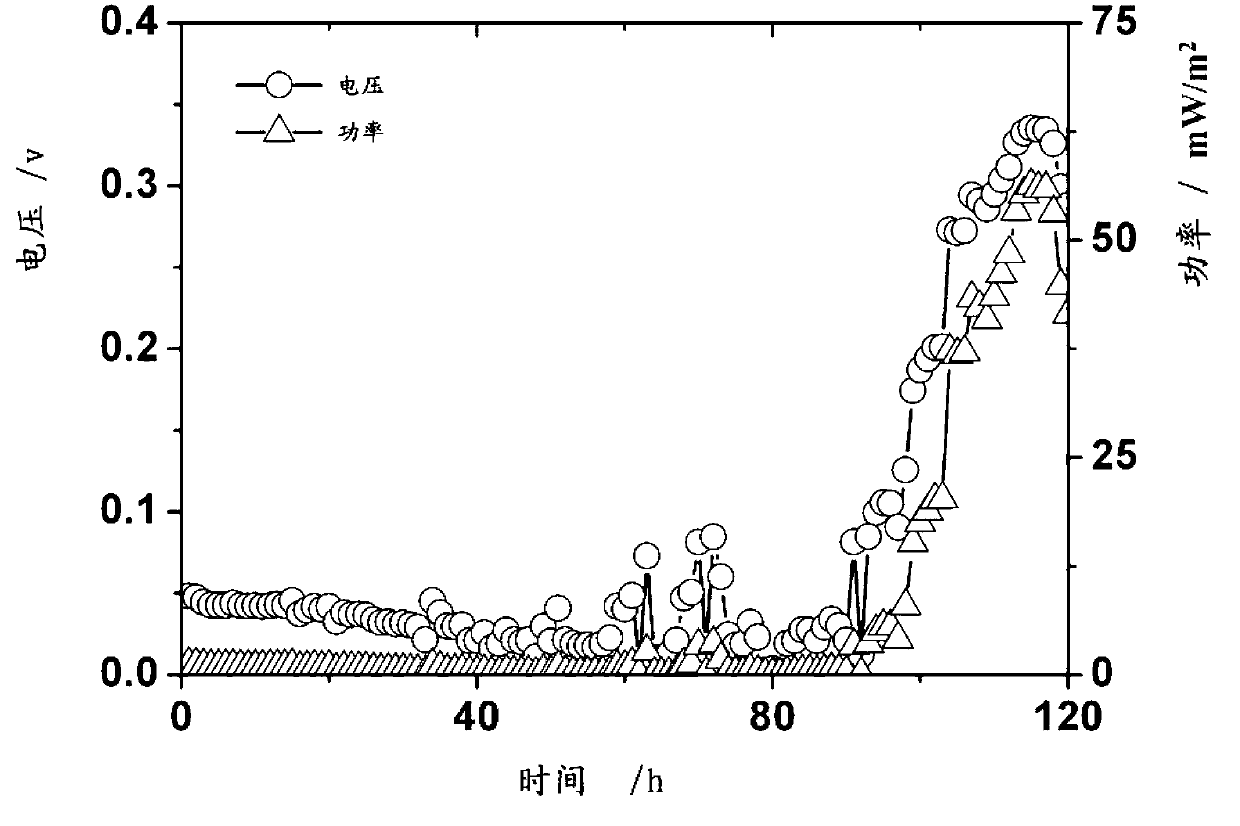 Bacillus subtilis bacterial strains and application thereof in microbial power generation