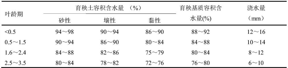 A method for precise water management of machine-transplanted rice seedlings