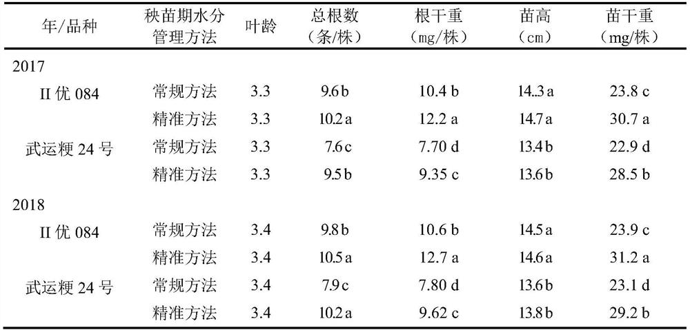 A method for precise water management of machine-transplanted rice seedlings