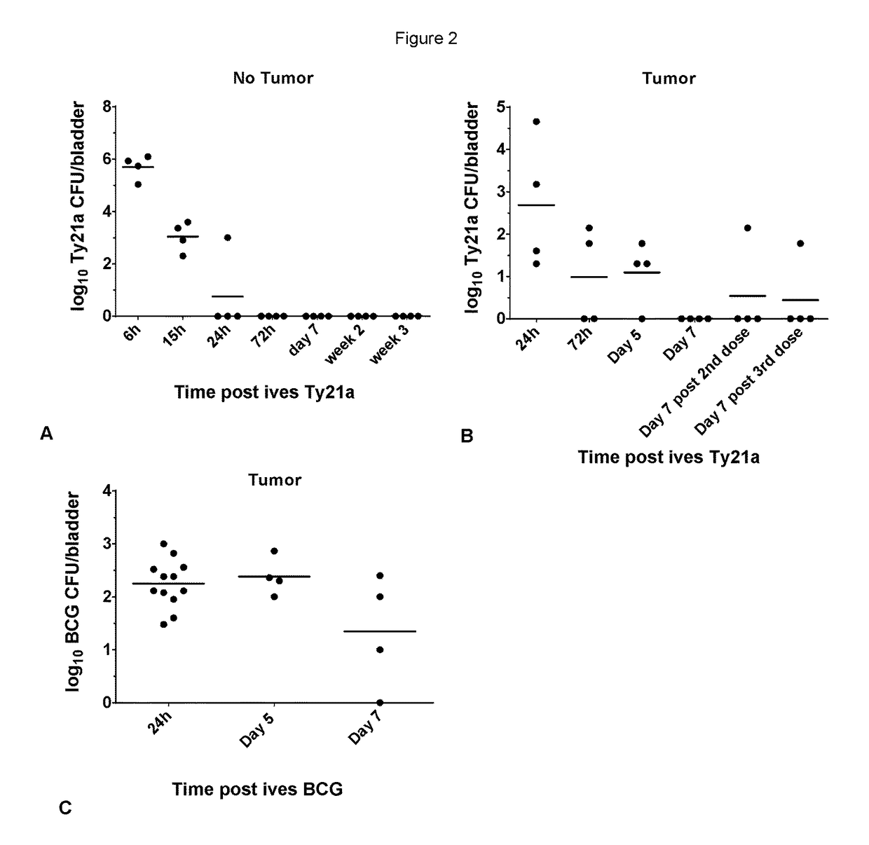 <i>Salmonella </i>strains for use in the treatment and/or prevention of cancer