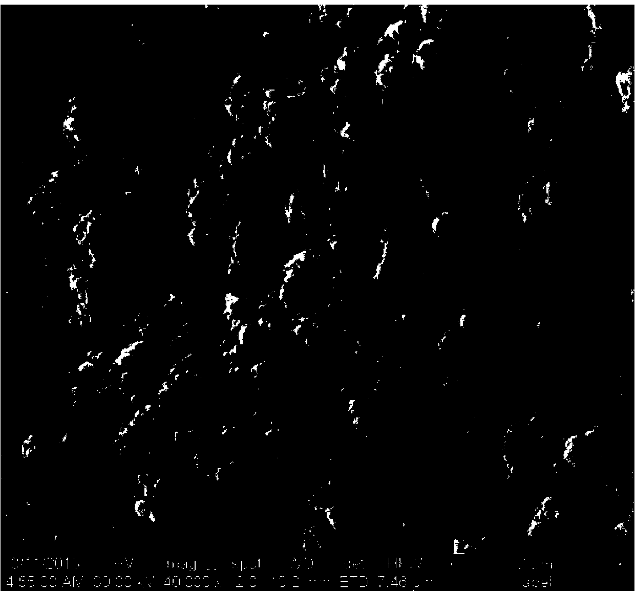 Novel preparation method of mesoporous active carbon