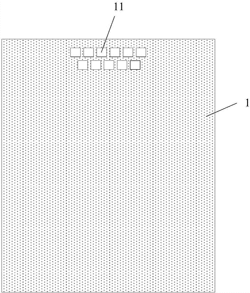 Display substrate and preparing method thereof and display device