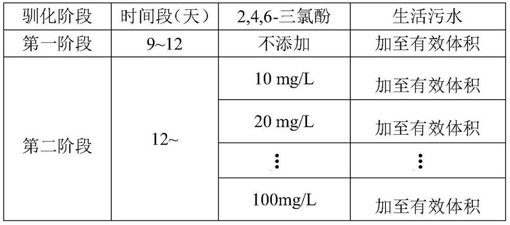 A microbial method for the domesticated and co-metabolic degradation of 2,4,6-trichlorophenol using domestic sewage as a carbon source