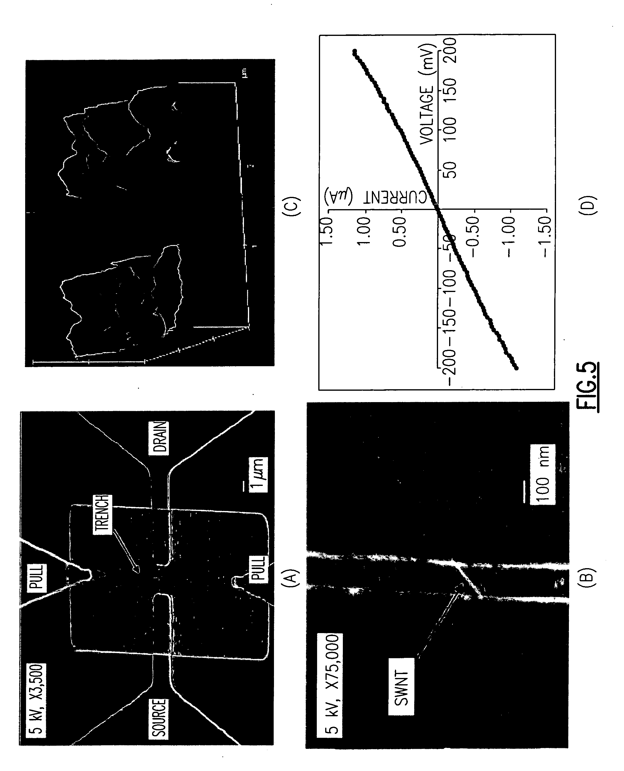 Carbon nanotube switches for memory, RF communications and sensing applications, and methods of making the same