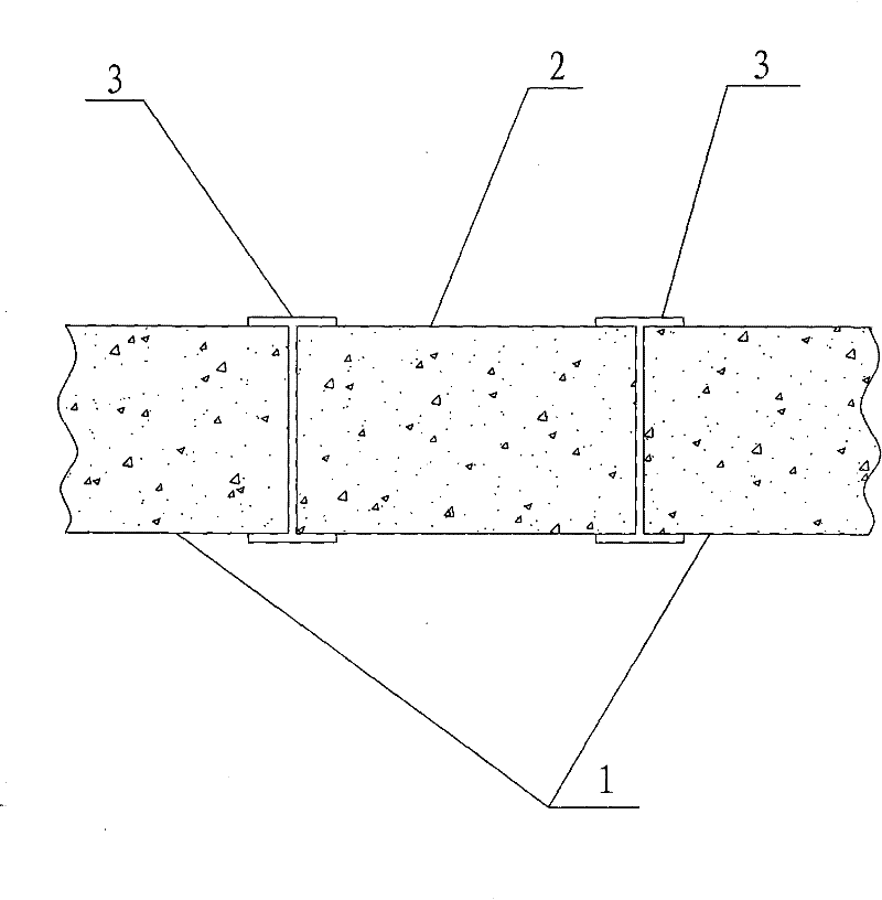 Diaphragm wall joint and manufacturing method of diaphragm wall