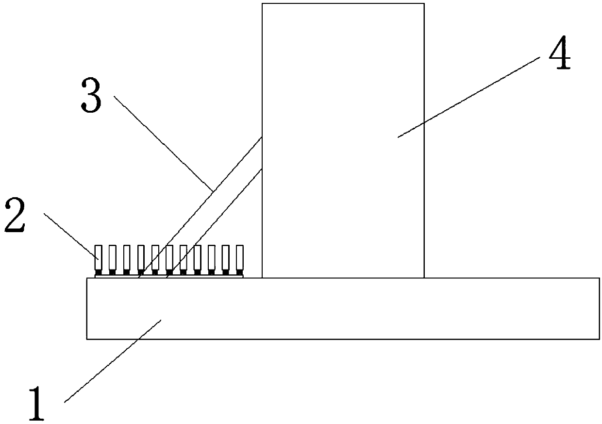 Bamboo shoot slicing machine