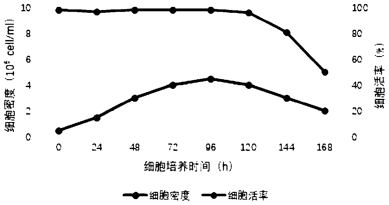 BHK-21-SC cell strain adapted to serum-free suspension culture and method for preparing vaccine antigen with cell strain