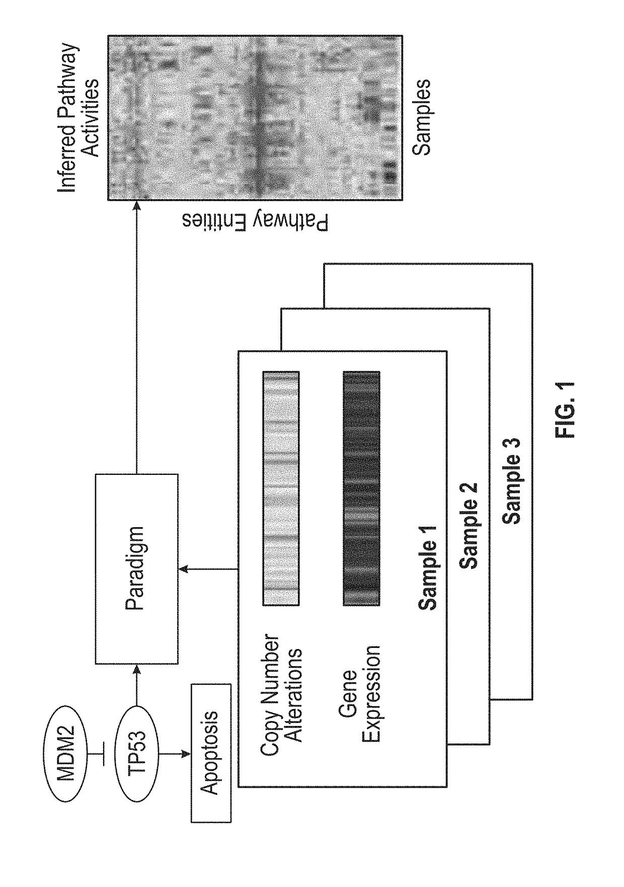 Pathway recognition algorithm using data integration on genomic models (paradigm)