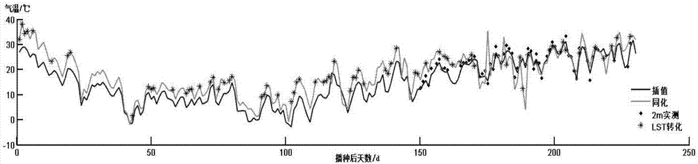 Identification method and device for winter wheatear differentiation phase