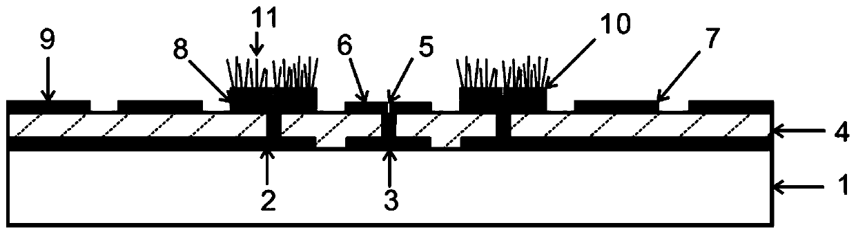 Nanometer cold cathode electron source of coplanar double-gate focusing structure and manufacturing method of nanometer cold cathode electron source