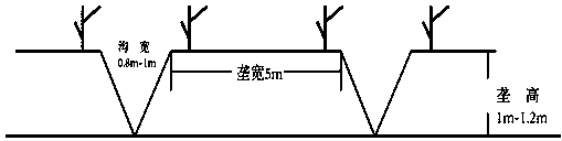 Method of landscaping planting of coastal dredger fill saline and alkaline land