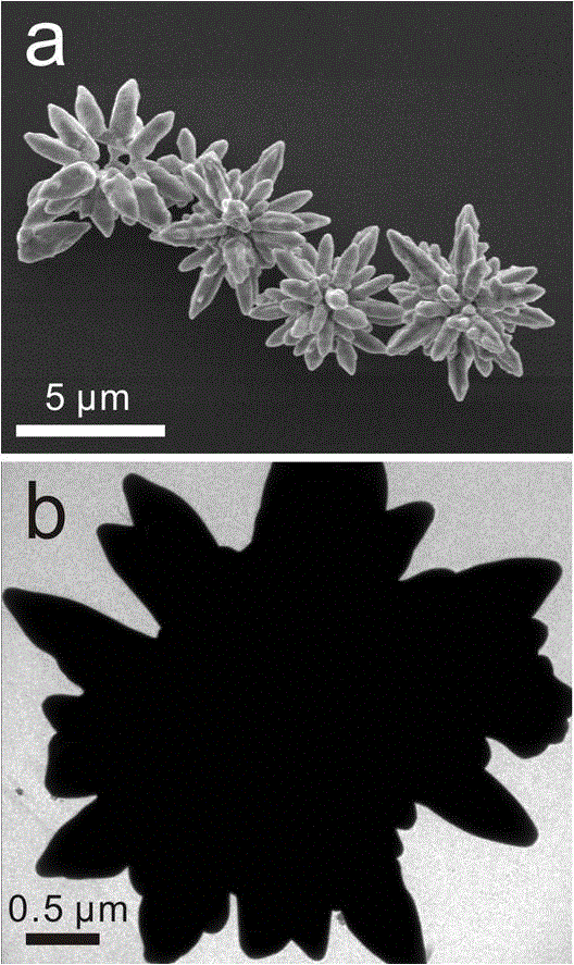 A magnetic surface-enhanced Raman spectroscopy substrate and a preparing method thereof