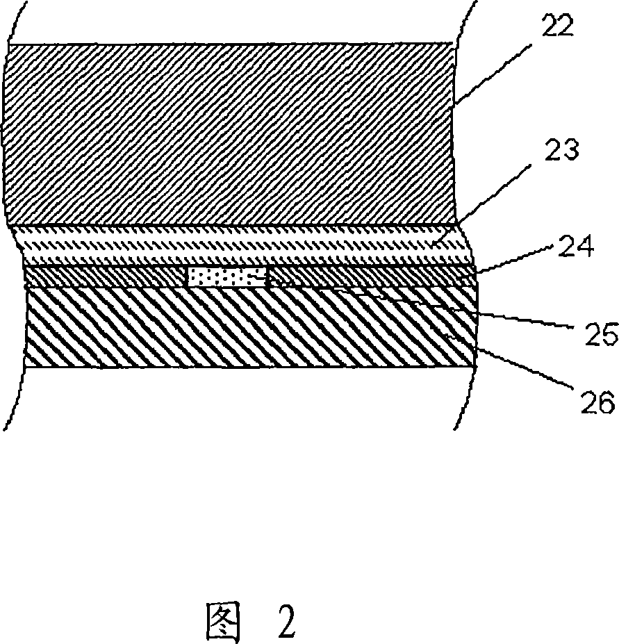 Enzyme sensor including a water-containing spacer layer