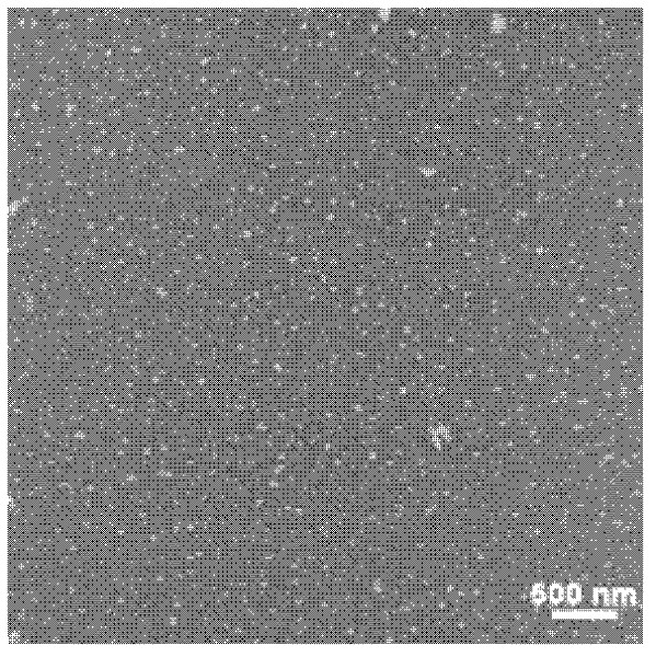 Preparation method of graphene oxide quantum dot based on photocatalytic oxidation