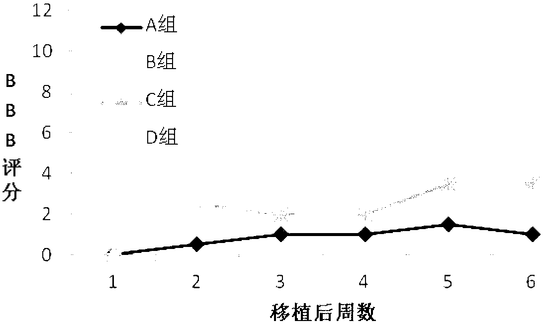 Nerve regeneration biogum and preparation method and application thereof