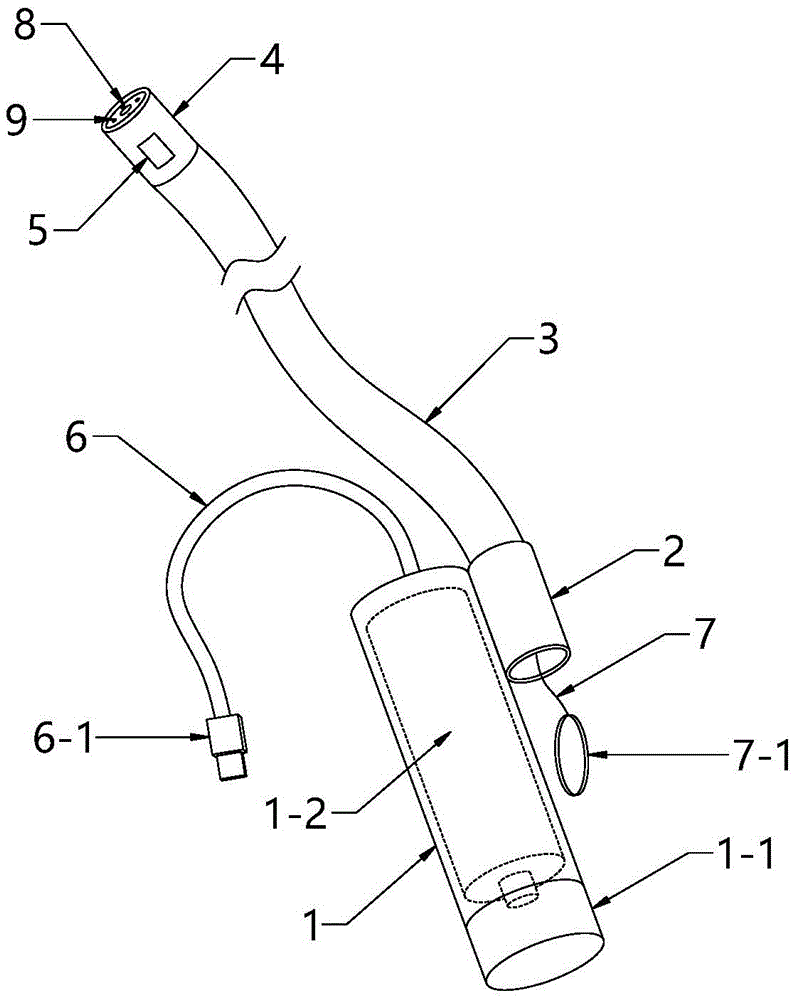 Specific sampler for gastrointestinal tumor biopsy tissue