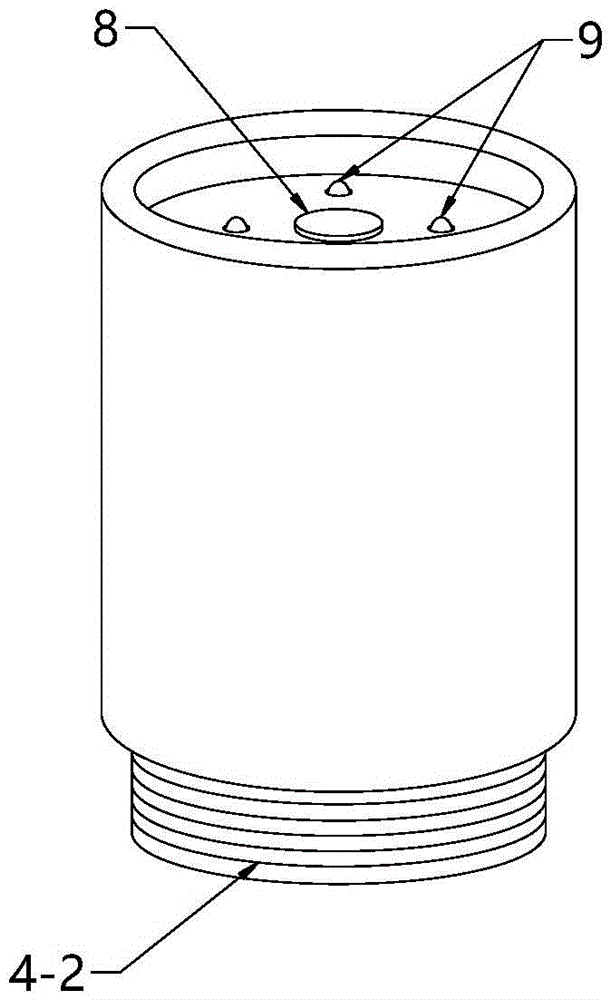 Specific sampler for gastrointestinal tumor biopsy tissue